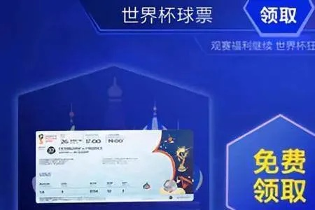 世界杯门票是实名制吗 世界杯门票一般多少钱一张-第2张图片-www.211178.com_果博福布斯